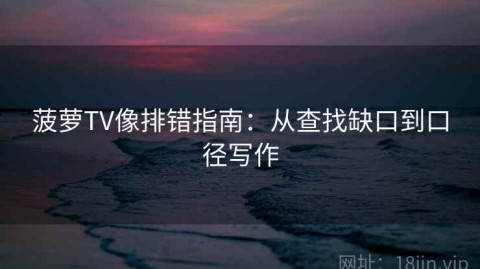 菠萝TV像排错指南：从查找缺口到口径写作