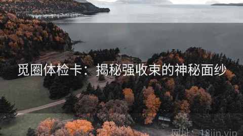 觅圈体检卡：揭秘强收束的神秘面纱