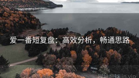 爱一番短复盘：高效分析，畅通思路