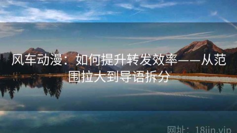 风车动漫：如何提升转发效率——从范围拉大到导语拆分