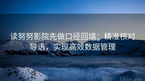 读努努影院先做口径回填：精准核对导语，实现高效数据管理