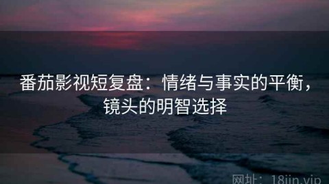 番茄影视短复盘：情绪与事实的平衡，镜头的明智选择