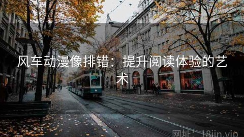 风车动漫像排错：提升阅读体验的艺术
