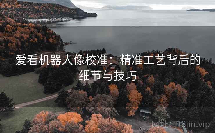 爱看机器人像校准：精准工艺背后的细节与技巧
