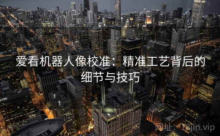 爱看机器人像校准：精准工艺背后的细节与技巧