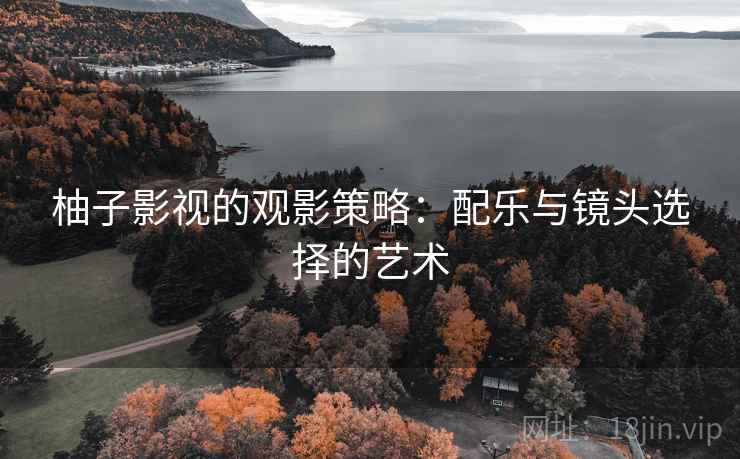 柚子影视的观影策略：配乐与镜头选择的艺术