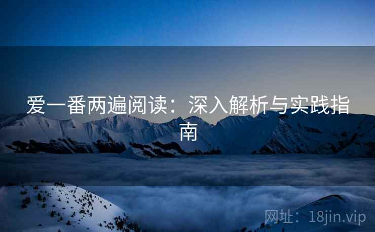 爱一番两遍阅读：深入解析与实践指南