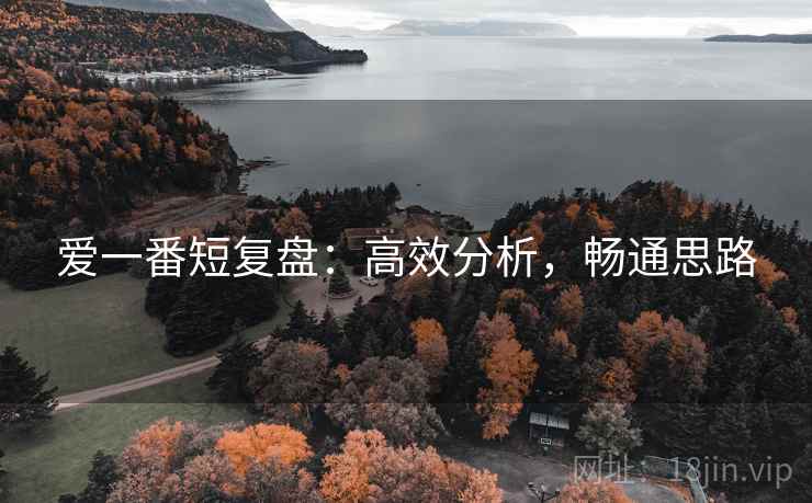 爱一番短复盘：高效分析，畅通思路
